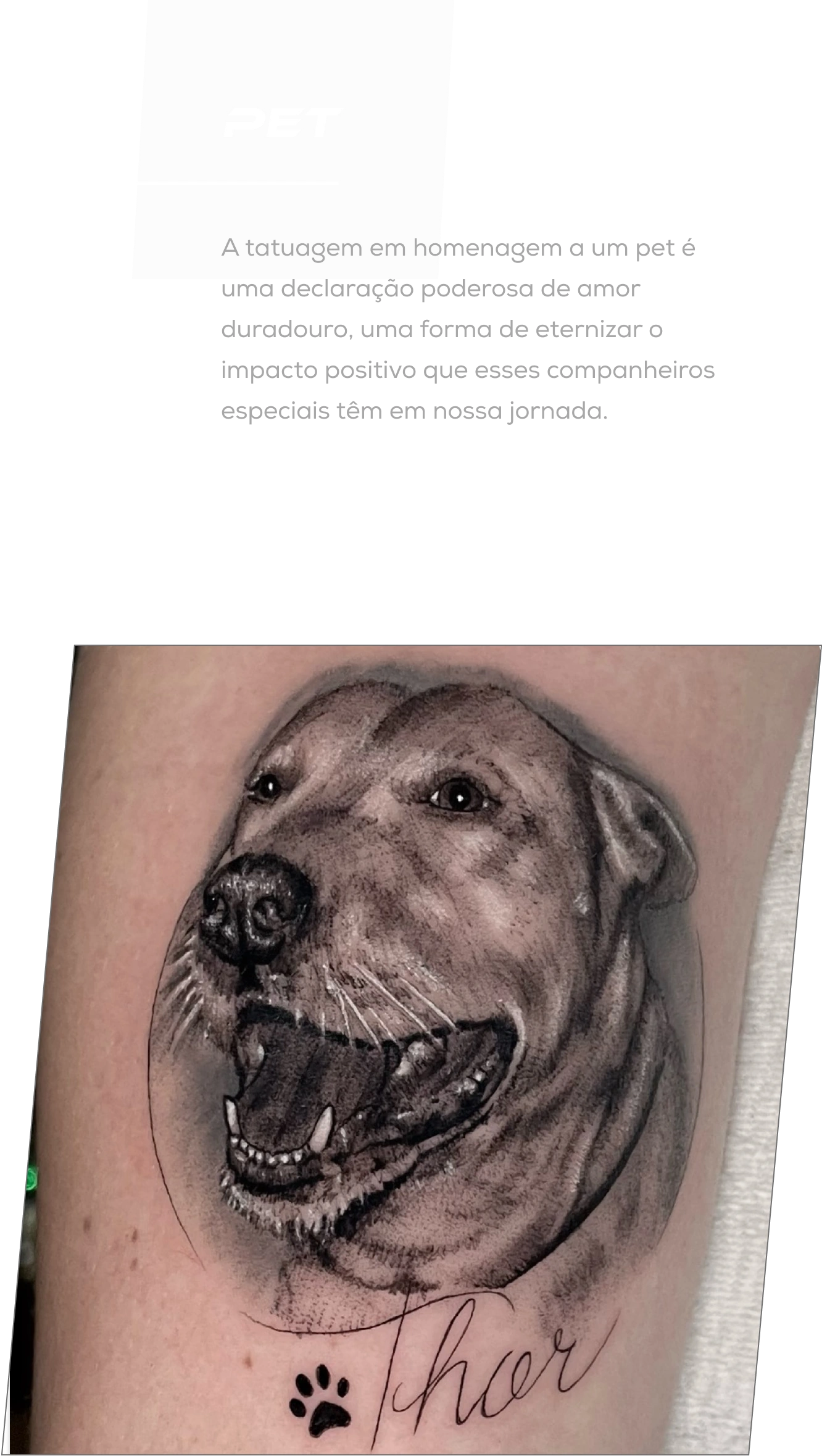 Exemplo de tatuagem no estilo Pet