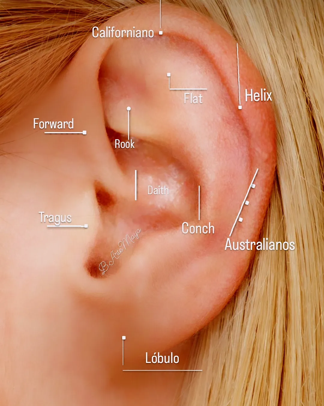Piercing realizado por Maya Perfuradora na Chakra Tattoo